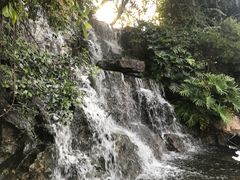 -仙岳公园