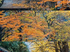 -青岛崂山太清宫