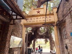 -小洲村