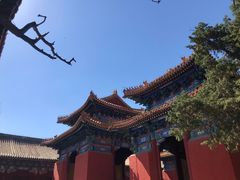-北京国子监胡同