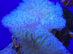 -海合安武汉极地海洋公园