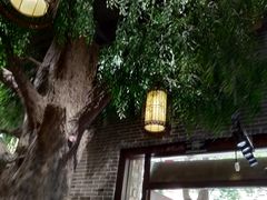 -东北农家饺子村(昌平路店)