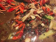 -杨氏青龙虾·羊蝎子(托乐嘉店)