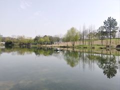 -洋湖国家湿地公园