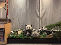 -将军府·鸡毛店(武侯祠店)