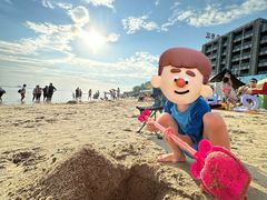 -海角城白海豚浪漫海滩