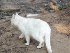 -刘师父老汉口江湖菜(蔡锷路店)