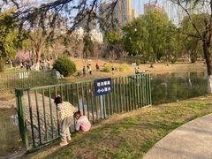 -堤角公园