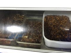 -88号小吃店·经典云南菜·地道纳西美食