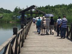 -溱湖国家湿地公园