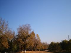 -长白岛森林公园