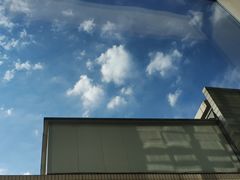 -北京大学肿瘤医院