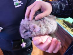 -Zoolung Zoolung动物主题公园(海信广场店)