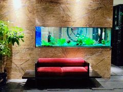 -松临·铁板烧&Omakase(神农店)