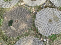 -千年银杏谷文化旅游区