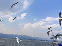 -海埂大坝