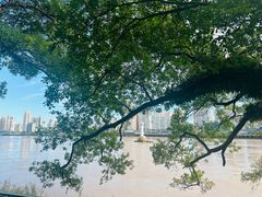 -江心屿景区