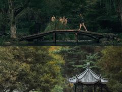 -北山街历史文化街区