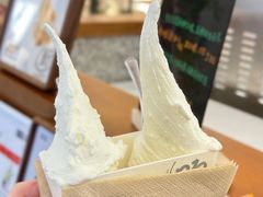 -野人先生Gelato(上海长宁龙之梦店)