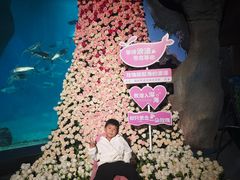 -福州罗源湾海洋世界旅游区