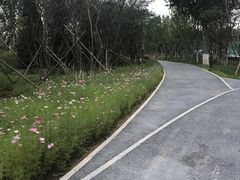-回龙观体育文化公园