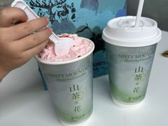 -雾与山茶(大禹城店)