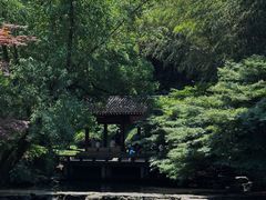 -杭州植物园