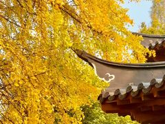 -郑和公园