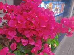 -上海老城区小龙虾虾宴·杭帮菜(五柳巷店)