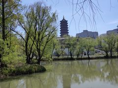 -长兴太湖图影湿地文化园