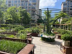 -梧桐人家中国太平国际健康颐养社区