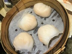 -添好运点心专门店(北角店)