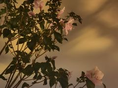 -绿房子方寸咖啡(星海名城店)