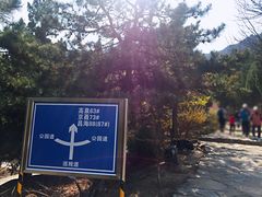 -北京鹫峰国家森林公园