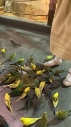 -酷嗒动物文化乐园(cutezoo西溪乐天城店)