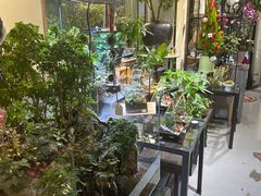 -弗劳尔花艺坊(龙涛店)