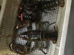 -青石桥市场北1-27号