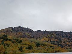 -西姆山居酒店(九寨沟沟口店)