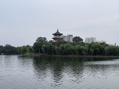 -莱西月湖公园