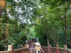-紫金山天文台