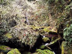 -碧峰峡风景区