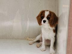 -乐宠宠物店(世纪金源店)