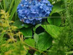 -五月花商业广场(中山五路店)