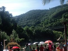 -西双版纳原始森林公园
