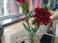 康乃馨-瓦库茶馆17号(海汇港店)
