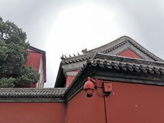 -故宫博物院(故宫)
