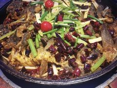 -老板恋上鱼(恒隆广场店)