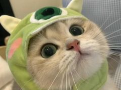 -小菜园新徽菜(芜湖镜湖苏宁店)