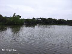 -东寨港红树林旅游区