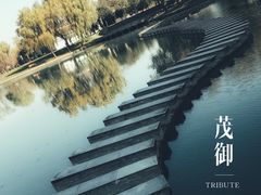 -上海佘山世茂艾美酒店